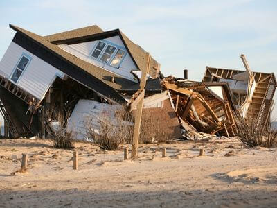 Professional attic mold remediation services in Los Angeles
